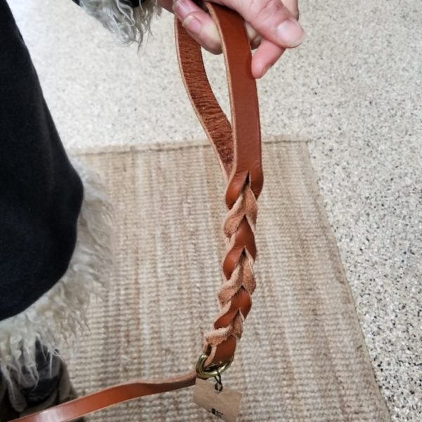 Dog Leash with Braided Handle